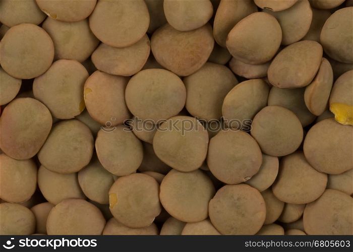 Green close up legumes lentils for background