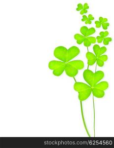 Green clover holiday border, st.Patrick&rsquo;s day decoration isolated on white background with text space
