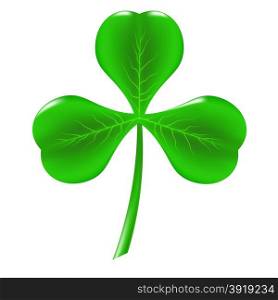 Green Clover Isolated on White Background. Symbol of Patricks Day.. Green Clover