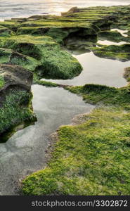 Green coas water