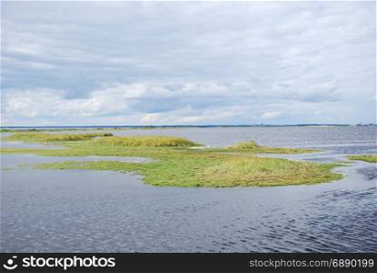 Green coastal marshland at the swedish island Oland in the Baltic Sea