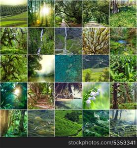 green collage
