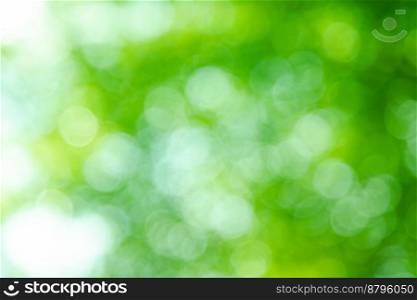 Green color bokeh, Green bacground, Blurred nature bokeh ure for the background