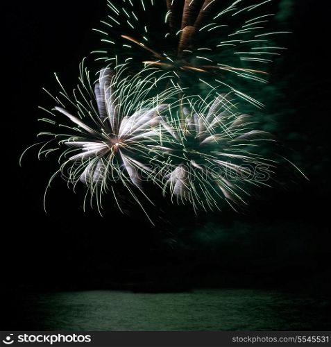 Green colorful holiday fireworks on the black sky background.