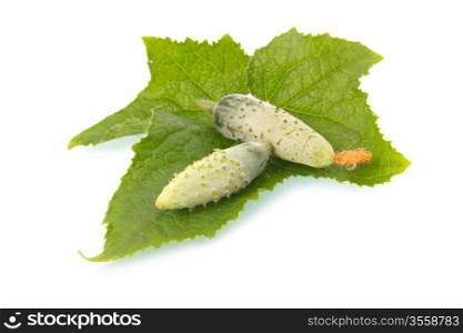 Green cornichon cucumber vegetable with leafs and flowers isolated on white background