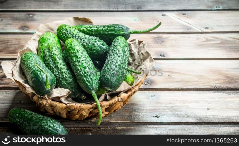 Green cucumbers in the basket. On wooden background. Green cucumbers in the basket.
