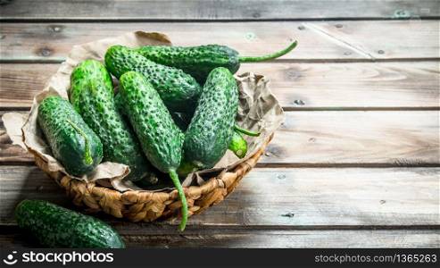 Green cucumbers in the basket. On wooden background. Green cucumbers in the basket.
