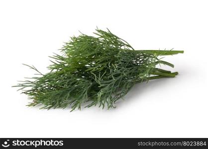 green dill. green dill on white background