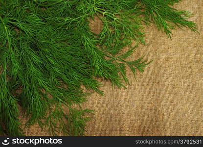 Green dill on the rough fabric as the background