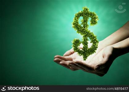 Green dollar. Close up of hands holding green dollar sign