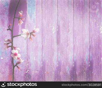 Green door with spots. Vintage purple wood background spring flowers. Violet pink wood background spring almond flowers with shabby distressed grungy texture hippie style