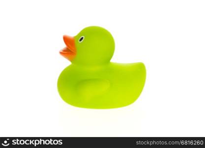 Green duck isolated on a white background