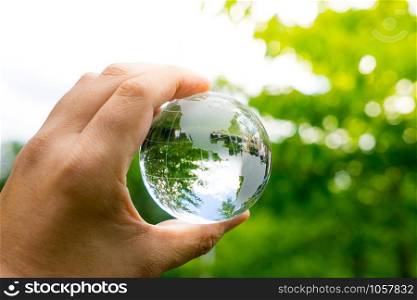 Green & Eco environment, glass globe in the garden
