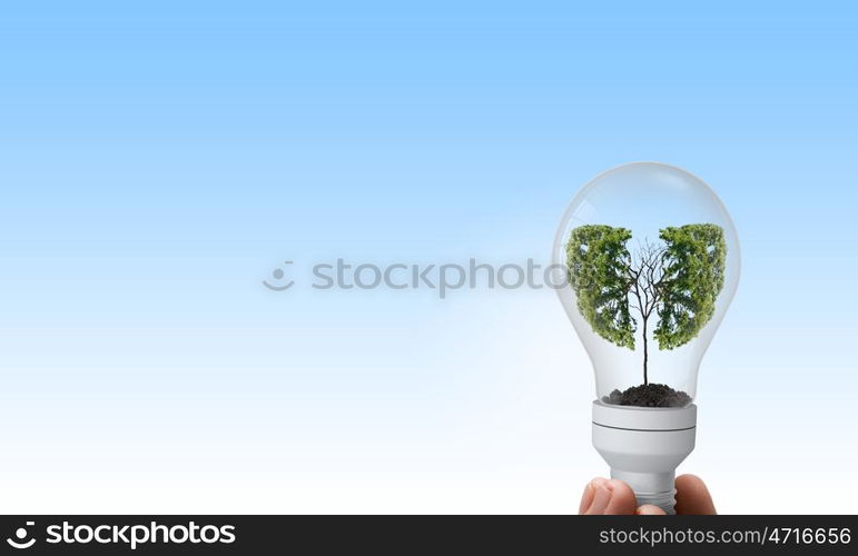 Green energy. Close up of human hand holding light bulb with tree inside