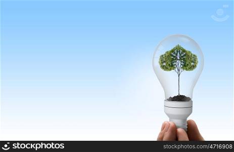 Green energy. Close up of human hand holding light bulb with tree inside
