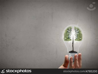 Green energy. Close up of human hand holding light bulb with tree inside