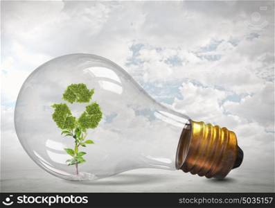 Green energy concept. Glass lightbulb with green recycle symbol growing inside