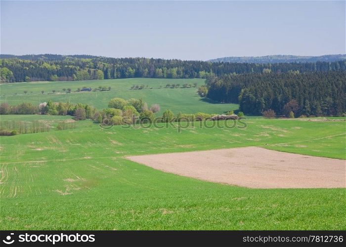 green farmland in the springtime