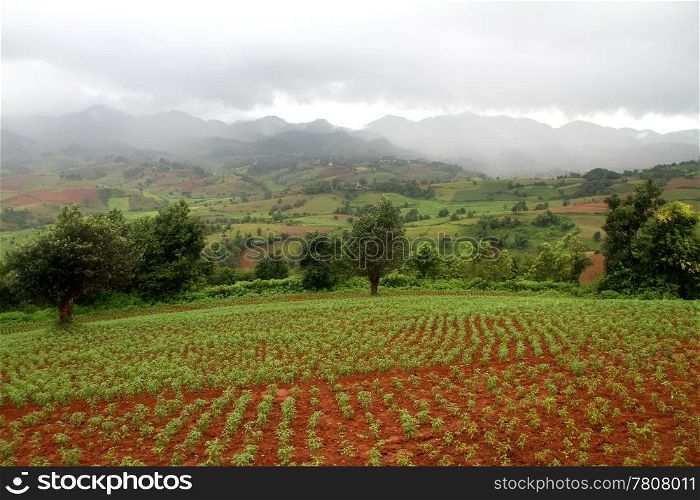 Green farmlield and mountain with clouds in Shan state, Myanmar