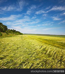 green field