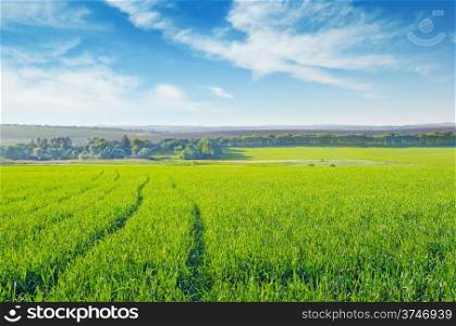 green field and blue cloudy sky
