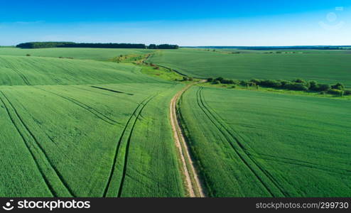 green field and blue sky