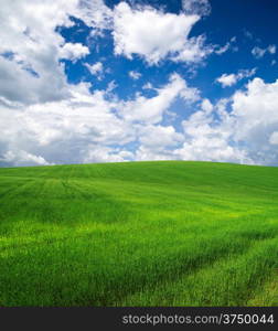 green field and blue sky