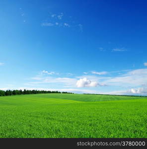 green field and blue sky