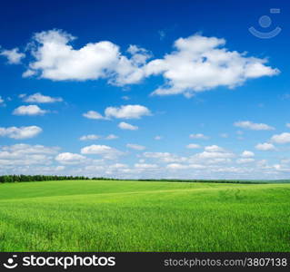 green field and blue sky