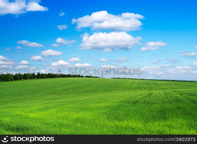 green field and blue sky