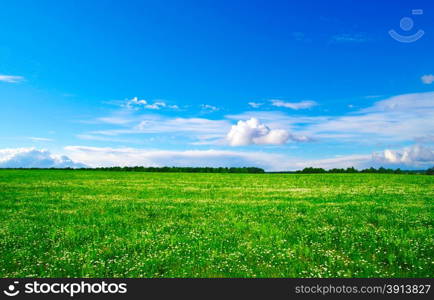 green field and blue sky