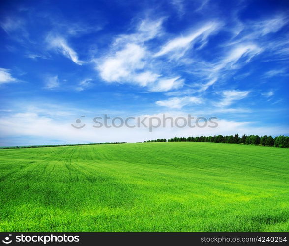 green field and blue sky