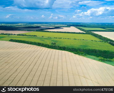 green field and blue sky