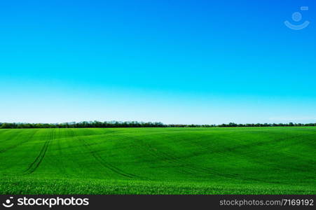 green field and blue sky