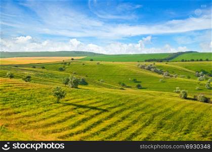 Green field and blue sky. Picturesque hills formed by an old river terrace. Moldova.
