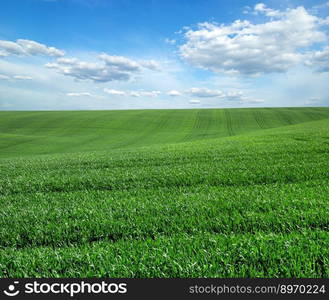 green field and blue sky with clouds