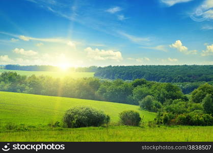 green field and blue sky with light clouds