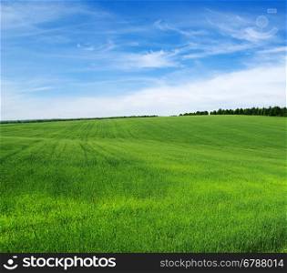 green field and blue sky&#xA;
