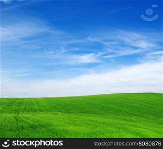 green field and blue sky&#xA;