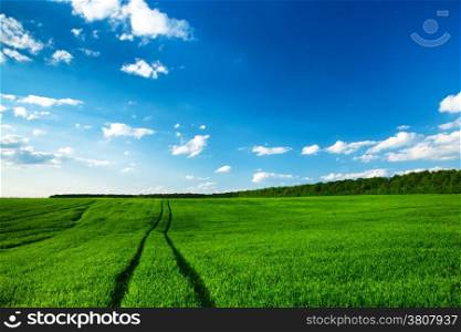 green field and blue sky&#xA;&#xA;