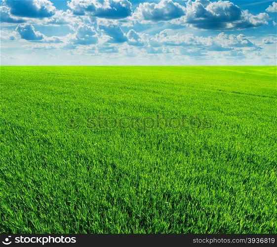 Green field and bright blue sky
