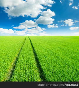 Green field and bright blue sky