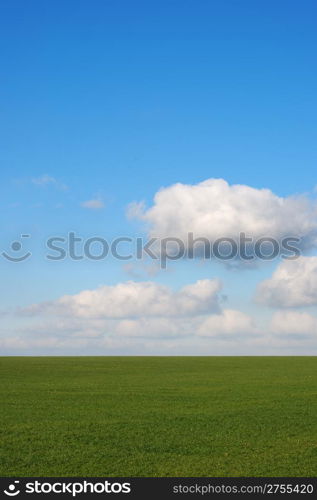 Green field and cloud. Vertical photo. The East Europe.