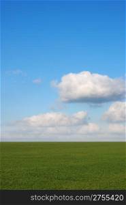 Green field and cloud. Vertical photo. The East Europe.