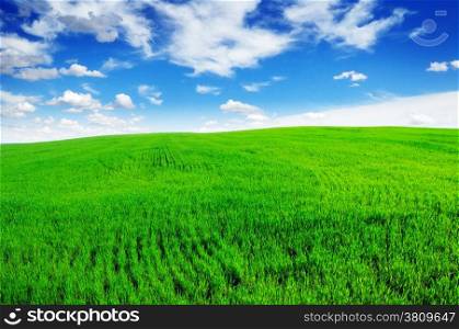 green field and clouds