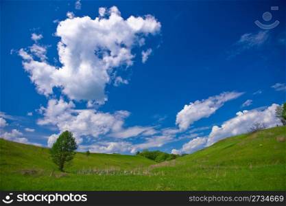 Green field and cloudy blue sky - summer landscape