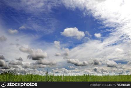 Green field and sky blue with cloud