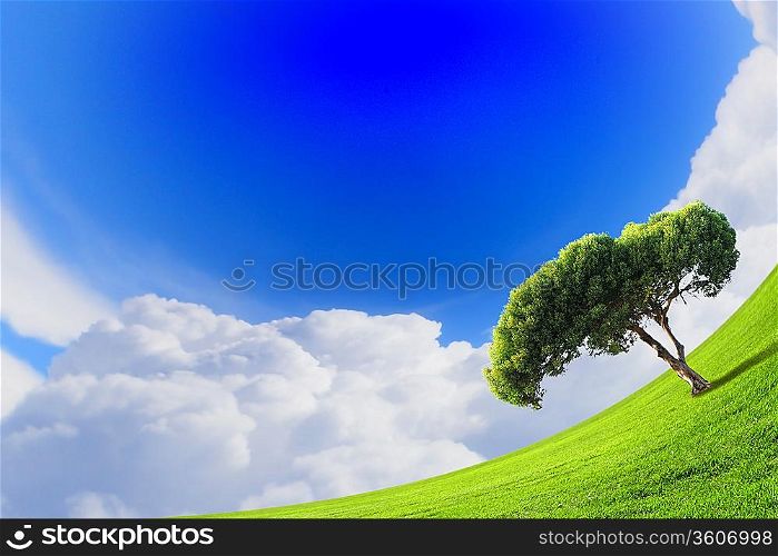 Green field and sun cloudy blue sky