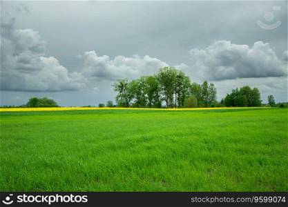 Green field and trees on the horizon, rural view