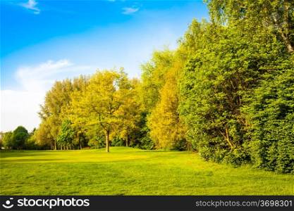 green field and trees. Summer landscape with green gras